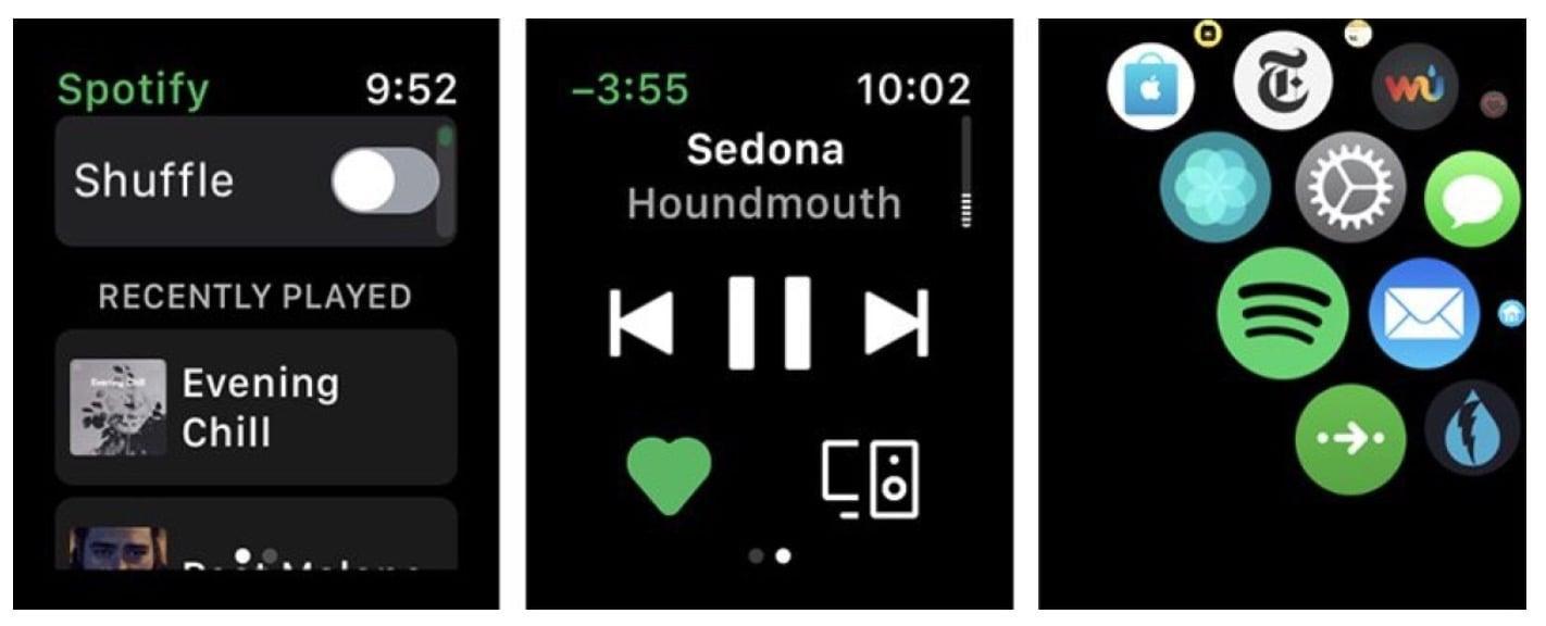 Spotify Apple Watch schermate